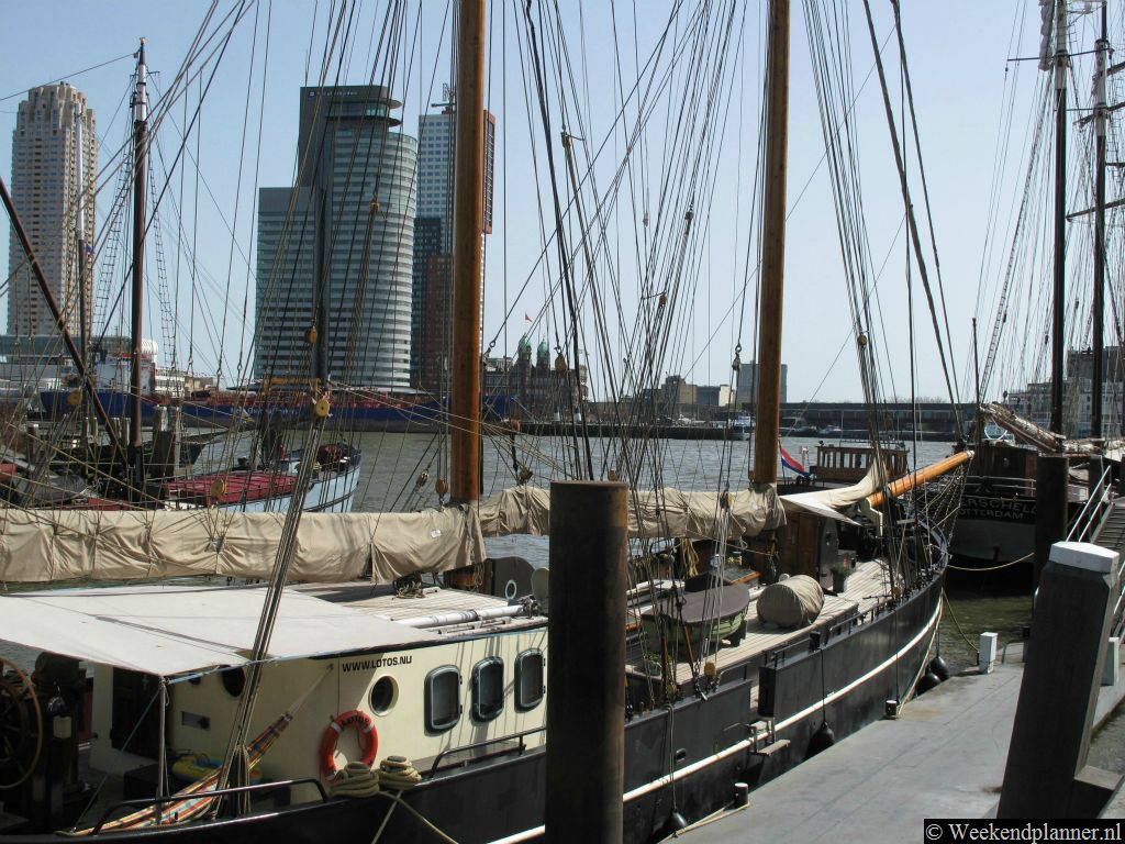De historische schepen, de terrasjes aan het water en de vele 19de-eeuwse pakhuizen en de kantoren maken de Veerhaven een toeristische bezienswaardigheid.Tip: Het Scheepvaartkwartier in Rotterdam.